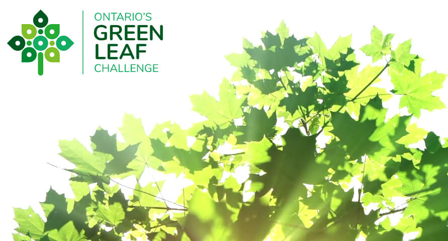 Ontario's Green Leaf Challenge
