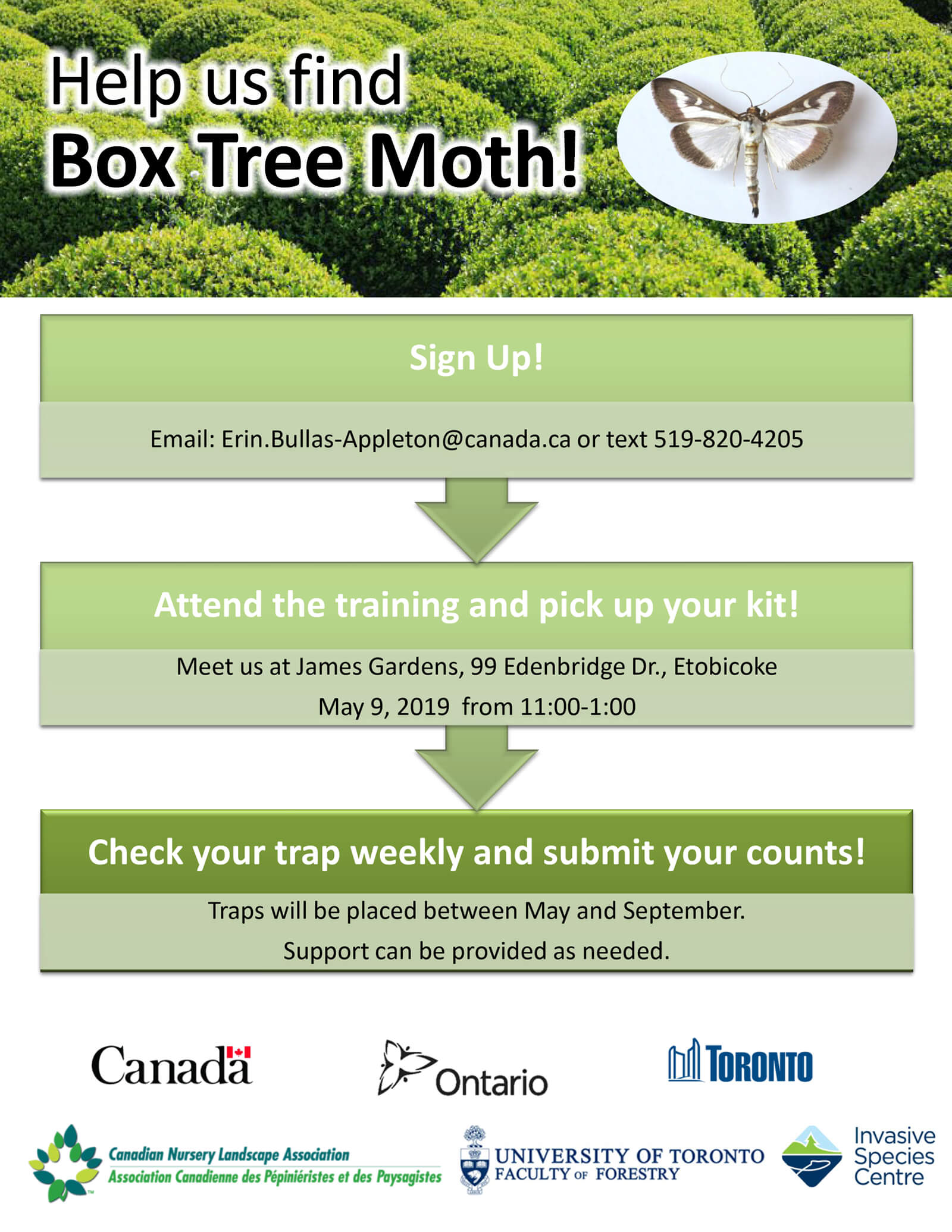 Help us find Box Tree Moth. Click for flyer.