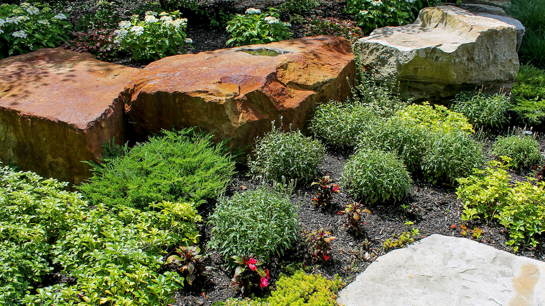 a rock garden with plants
