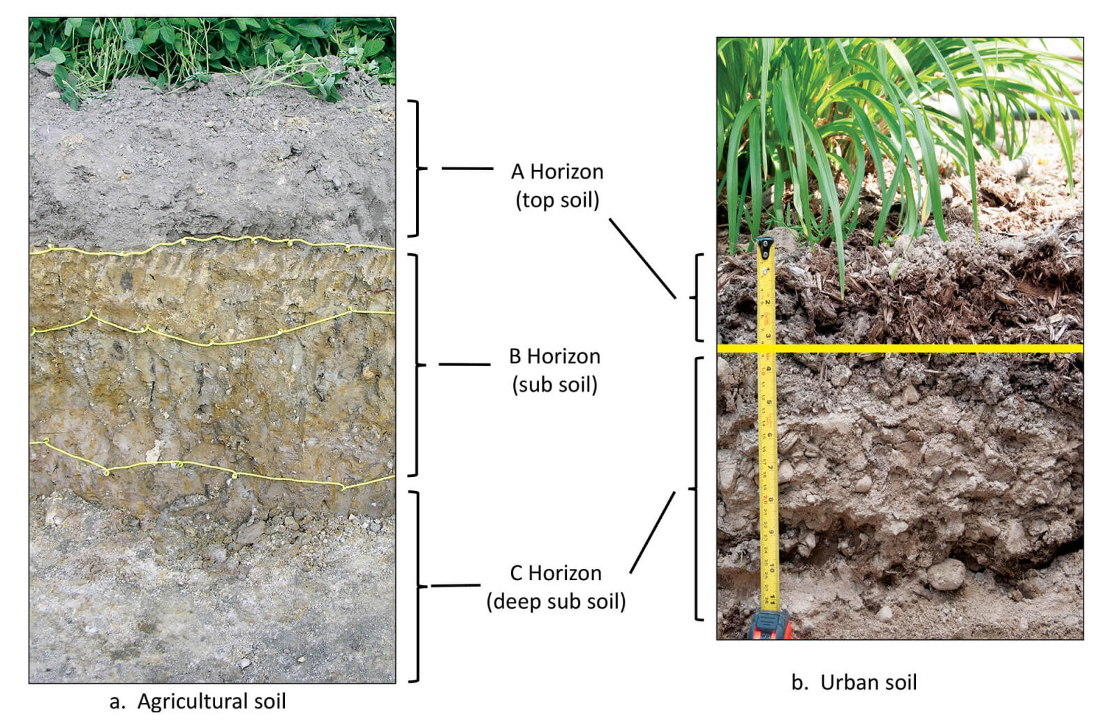 topsoil a horizon definition