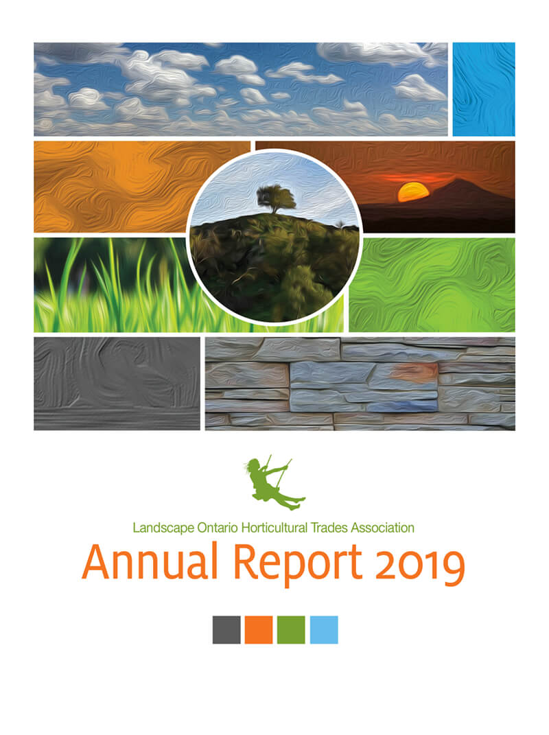 2019 annual report cover