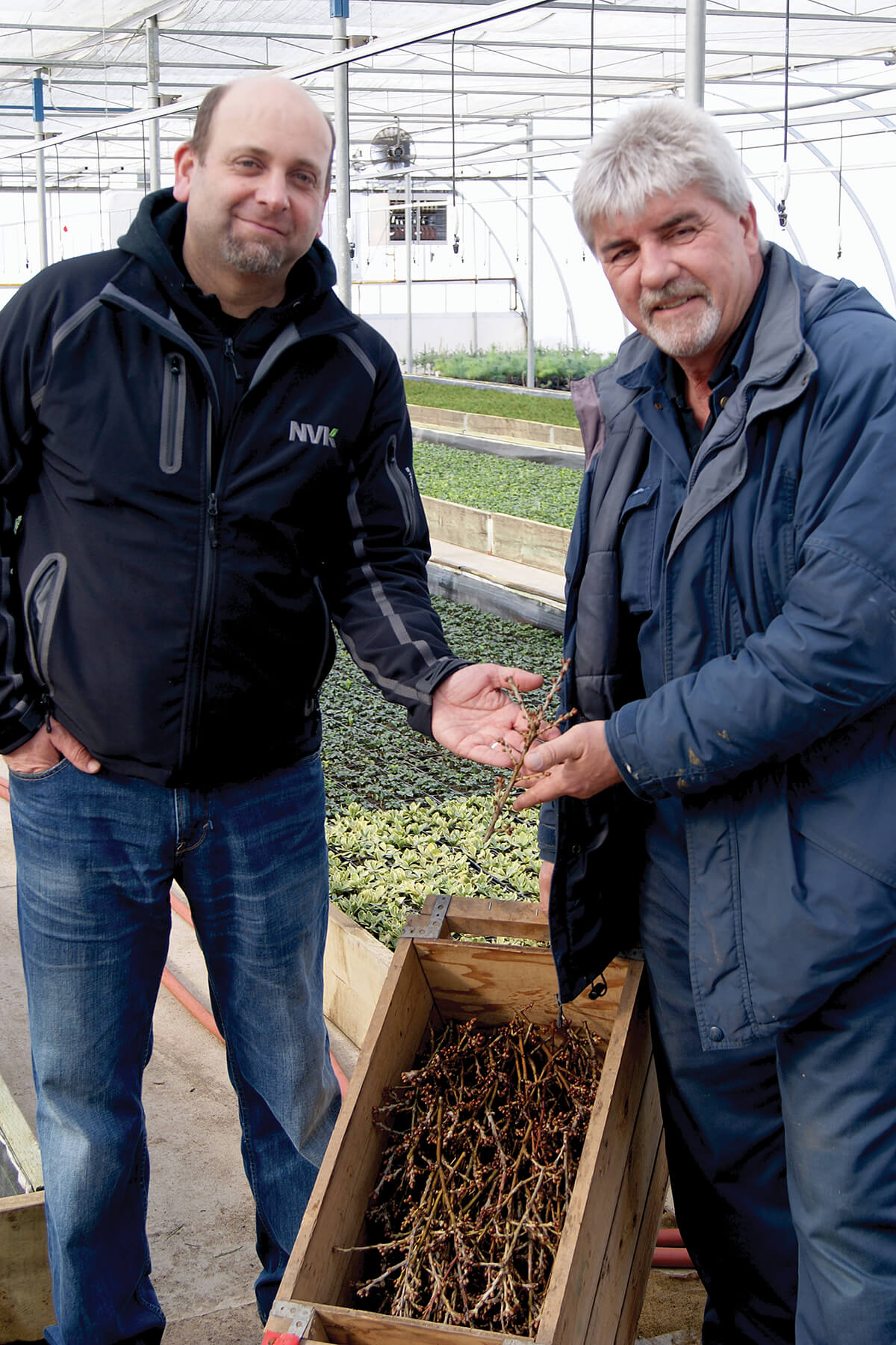 two men in a greenhouse wiht a crate of tree seedlings