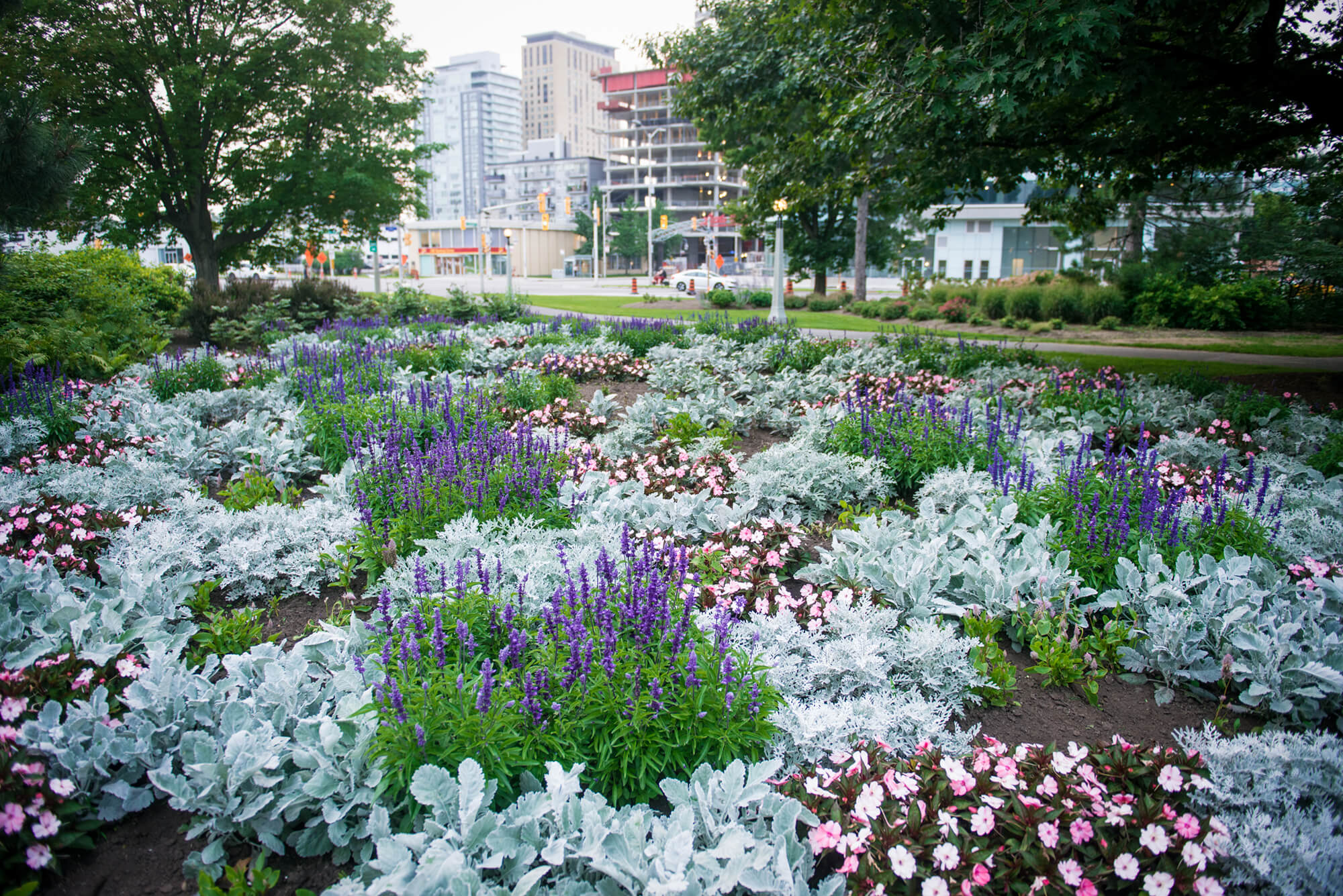 flower bed with various colours and textures