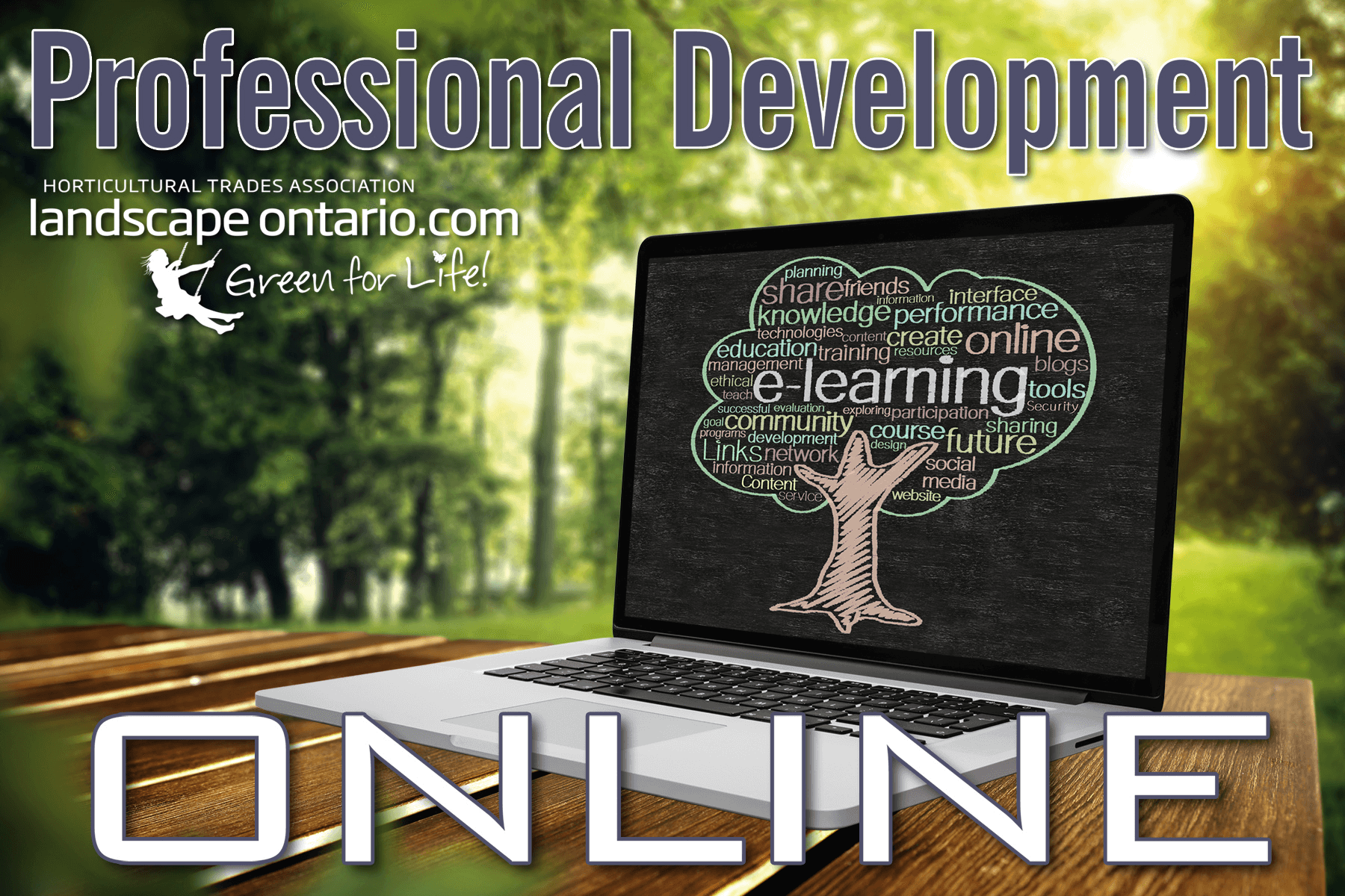 Professional Development Online