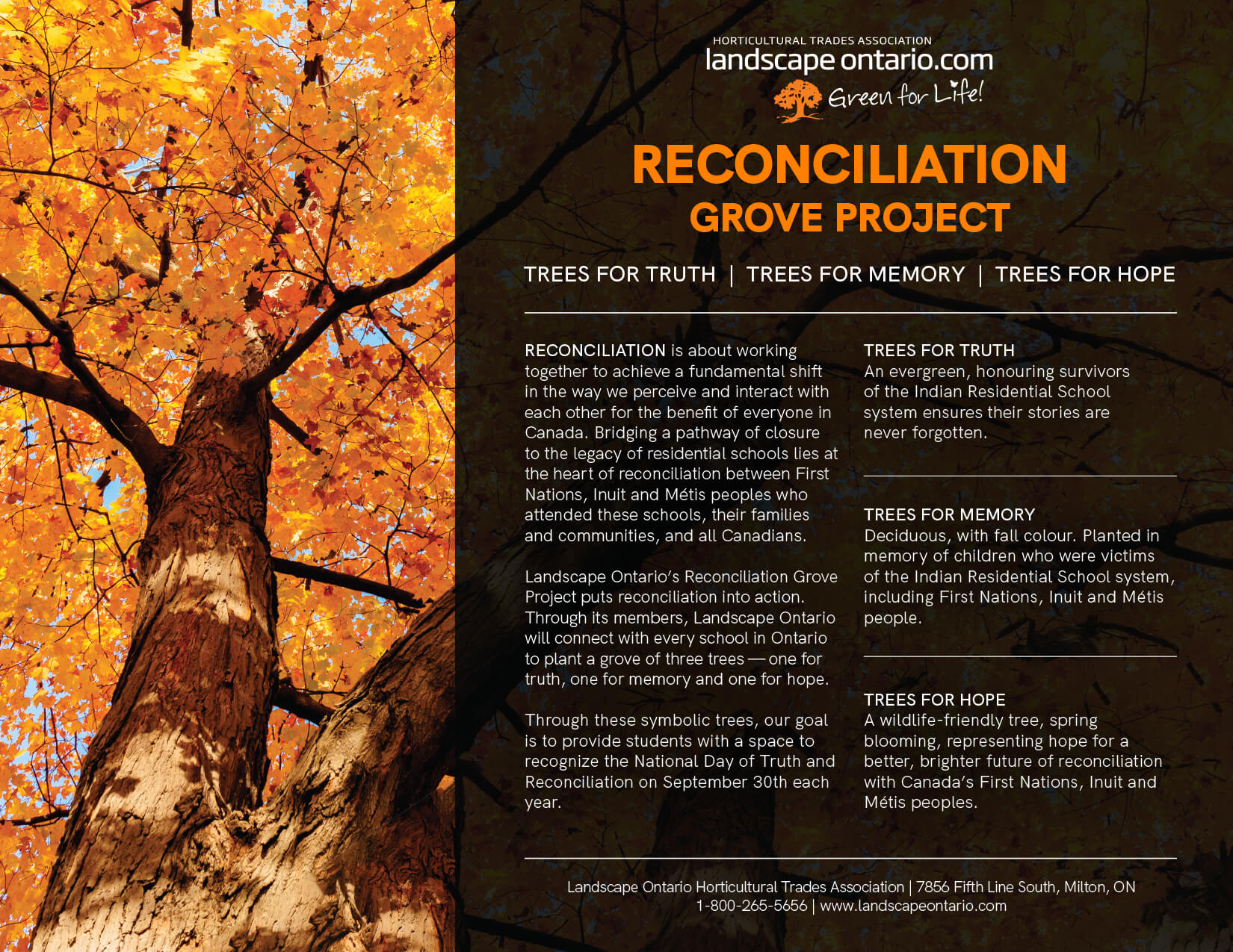 reconciliation grove