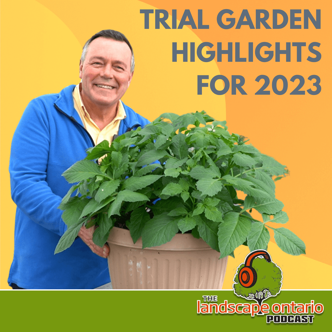 Wanted dead or alive: Highlights from the 2023 Trial Garden