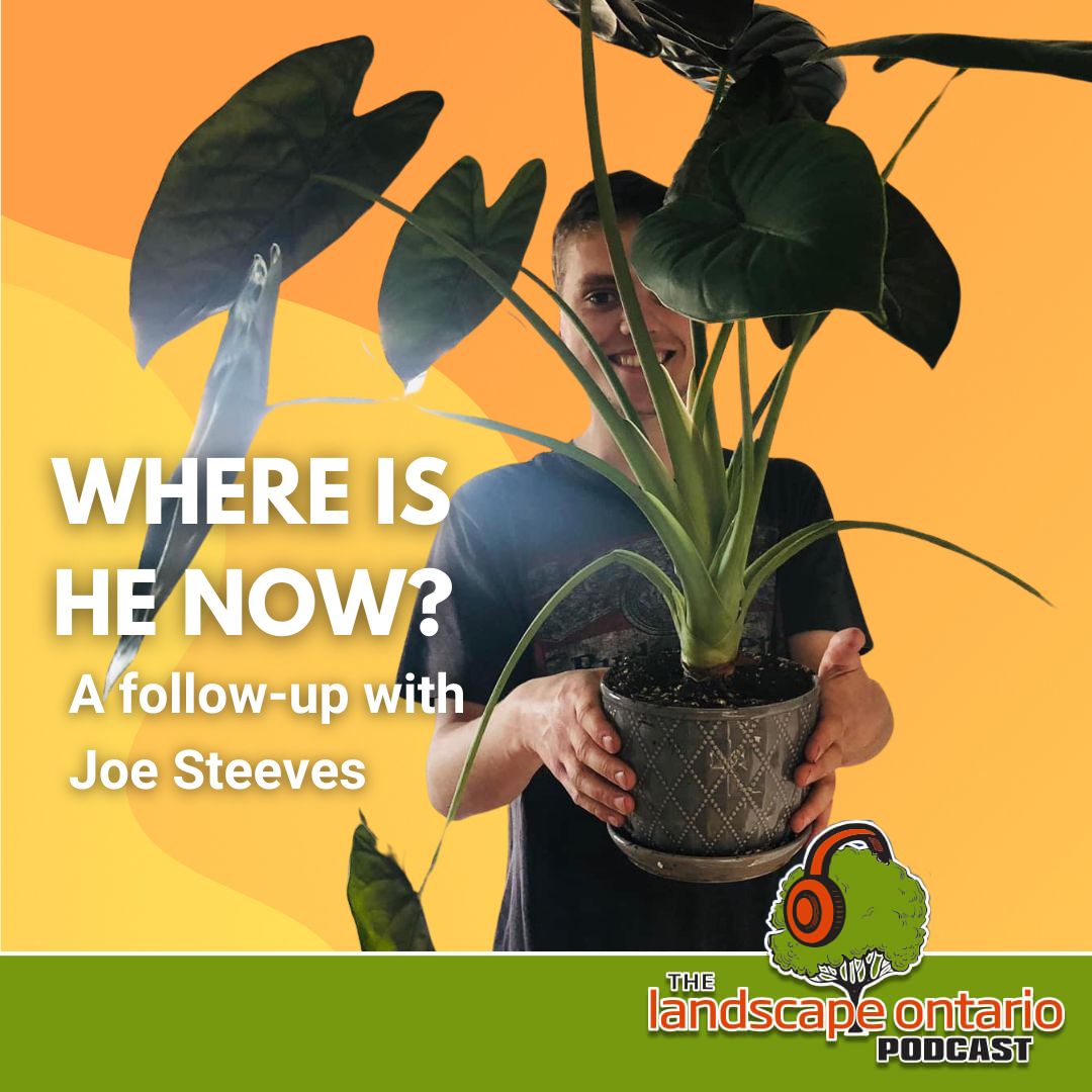 Where is he now? A follow-up with Joe Steeves