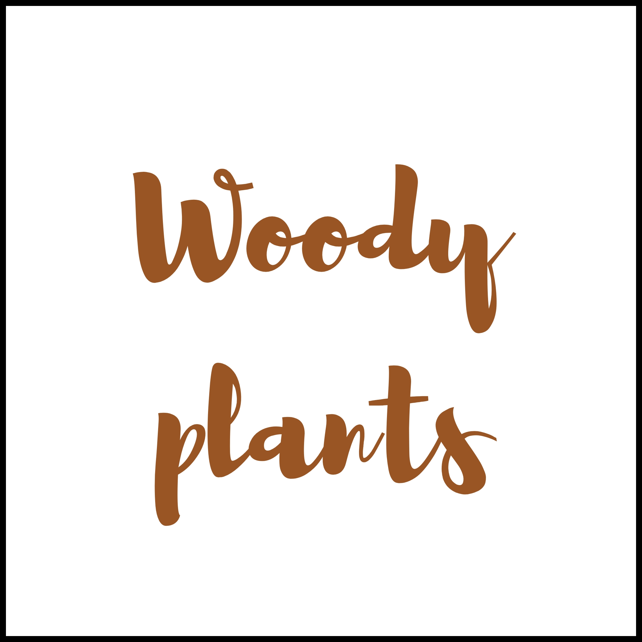 new woody plants for 2025