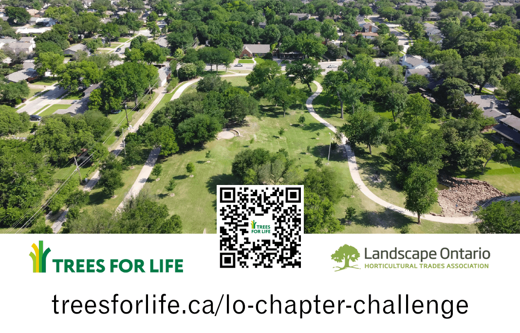 overhead shot of a town with lots of trees and green spaces