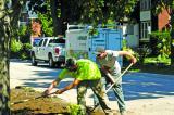 Wright Landscape will celebrate 50 years of operations on Sept. 22.