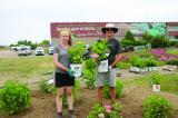 University of Guelph students Leigh Cogar and Will MacKenzie planting the hydrangea trial at LO.