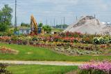 The 2018 Trial Gardens at the LO home office in Milton continue despite construction both outside and within the property.