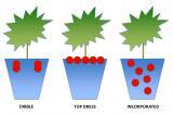Figure 1: Field studies compared various fertilizer applications.