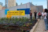 The Grey to Green Conference features tours of green infrastructure projects around Toronto.