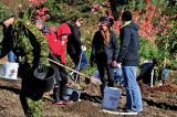 People of all ages, including Canadian soldiers and Silver Cross Parents, have joined forces to plant 117,000 trees to honour our war heroes.