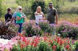 Those attending the annual trial gardens open house had lots to see, from new annual introductions to perennial beds and roses.