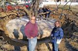 Paul Offierski and Leslie Goettsch of PAO Horticultural stand in front of the century-old magnolia that has been wrapped by the PAO crew, Sergo Anniano, Clint Cripps and John McNeil.