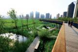 Designed ecologies by Dr. Yu are wild and beautiful. Skywalks allow pedestrians to access the landscape.