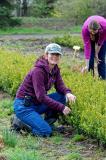 Jen Llewellyn supervised the nursery scout project and worked closely with Danielle to provide support with monitoring, diagnostics and recommendations.