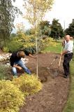 Once again members of Landscape Ontario will have an opportunity to become involved in National Tree Day on Sept. 25. This is the third year for the event. In photo, at the inaugural celebration, members plant a tree at the LO home office site in Milton.