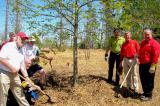 A ceremonial planting of trees has politicians and volunteers replace trees lost in the Goderich tornado last year.