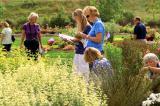 An enthusiastic group took advantage of the opportunity to view the Landscape Ontario trial garden open houses on Aug. 17 and 18.