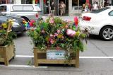 A winning planter created by Green Valley Landscaping.