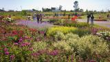 A few members took advantage of the opportunity to see plants first-hand that will be on the market next year.