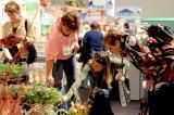 New plants and new products continue to draw attendees to Expo.