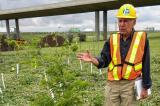 Nursery grower Peter Braun at one of the test sites along Highway 401.