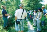 Those taking part in the tour of parks and conservation areas see first-hand the damage caused by invasive plants.