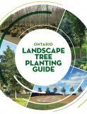 Ontario Landscape Tree Planting Guide
