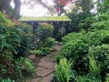 Residential green roof project