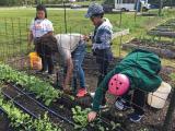 NGB Therapeutic Garden Grant program aims to expand the knowledge and benefits of gardening to everyone.
