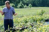 The Canadian Chestnut Council is now outplanting thousands of chestnuts in many crosses, with a waiting list for more.