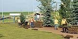 The Synergy Park project was championed by Phil Paxton, Alpha Better Landscaping, and Blaire Cote, Foothills Nurseries. Together they rallied members and community groups to develop Synergy Park in Chestermere.