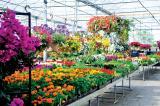 Van Dongen’s Garden Centre, Landscaping and Nurseries, Milton, Ont., is one of the stops for the IGCA visitors.