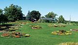 A colourful display to attract pollinators at William Dam Seeds.