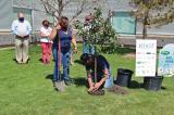 Volunteers broke ground for the Humbolt Urban Garden Sanctuary in June 2021.