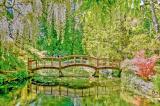 A Japanese garden bridge connects some of the more than 15 km of trails in Hatley Gardens.