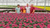 Left to right: Marcel van der Voort (owner of Van Schie),  Noëlia Mansilla (president EMEA of Dümmen Orange),  Mike van Os (global product manager, pot plants for Dümmen Orange) and Hans van Leeuwen (owner of Lionplant).