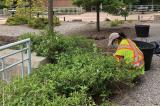 Manpreet Kaur earned a post-secondary scholarship through the Ontario Horticultural Trades Foundation in 2021.