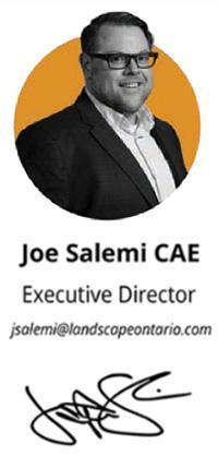 joe salemi