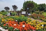 The AAS Display Garden at Mississippi State University’s South Miss. Branch Experiment Station.