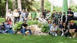 Volunteers gathered in Sunnybrook's Bayview Campus to plant flora that attract pollinators.