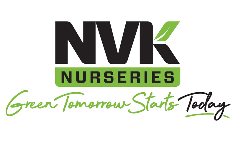 NVK Logo