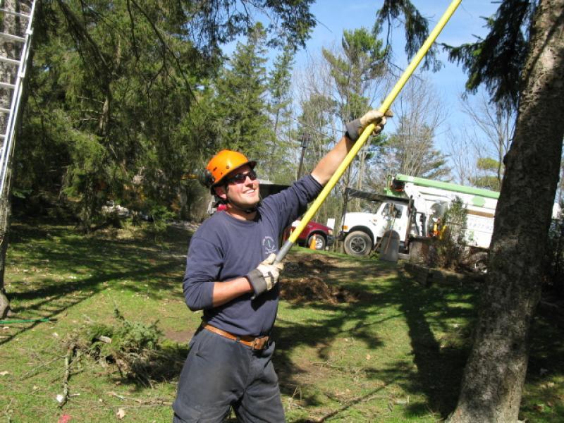 Four Seasons Tree Care & Service Ltd - Landscape Ontario