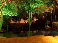 Winning Project Photo