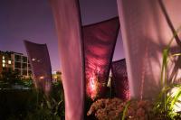 Winning Project Photo