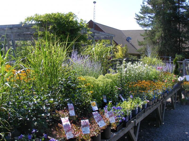 Vermeer's Garden Centre & Flower Shop Landscape Ontario